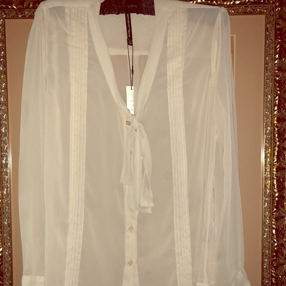 Sheer long sleeve blouse